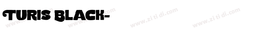 Turis Black字体转换
